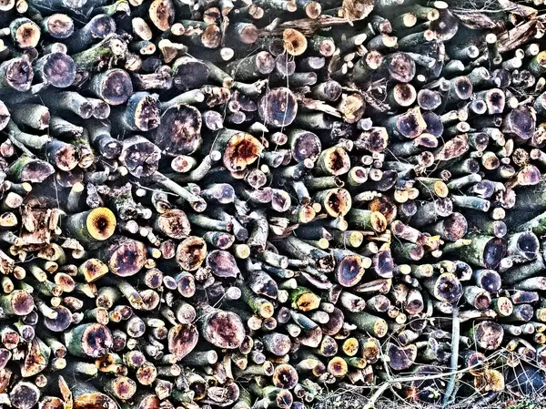 chopped wood
