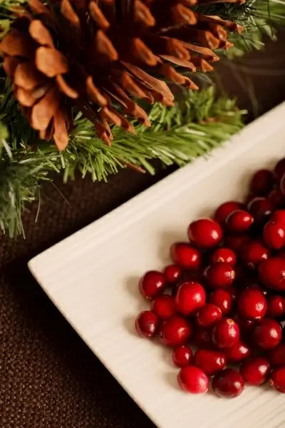 christmas background berry