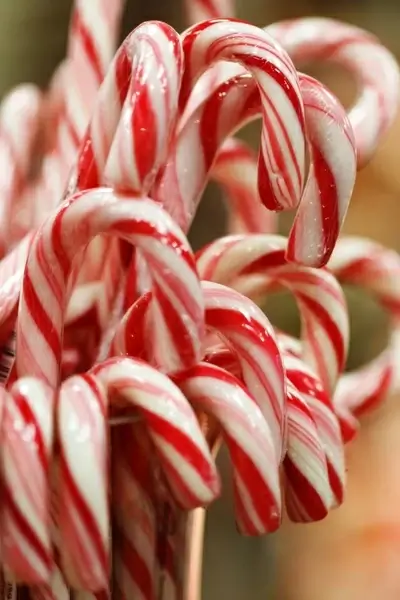 christmas candy canes
