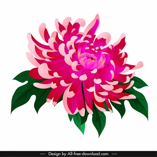 chrysanthemum flora icon classical colored design