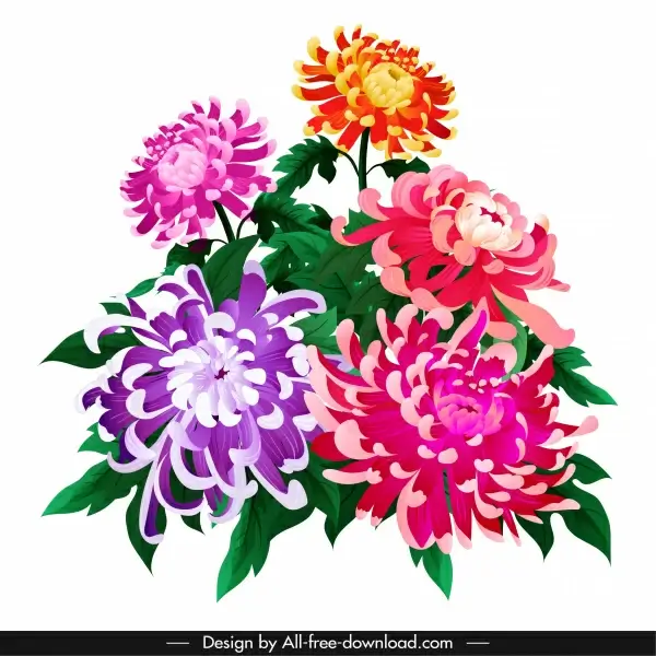 chrysanthemum flower painting colorful classical sketch