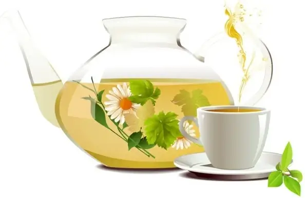 chrysanthemum tea tea 01 vector