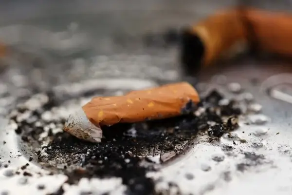 cigarette butt