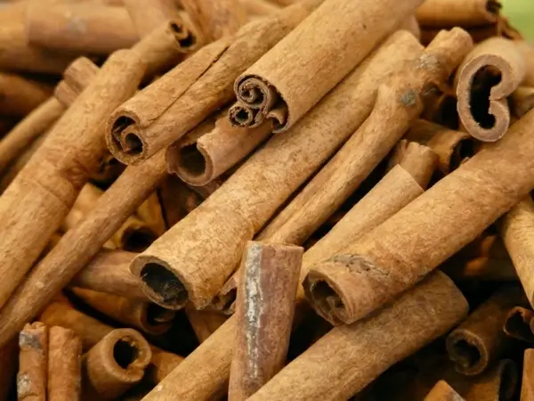 cinnamon cinnamon sticks dried