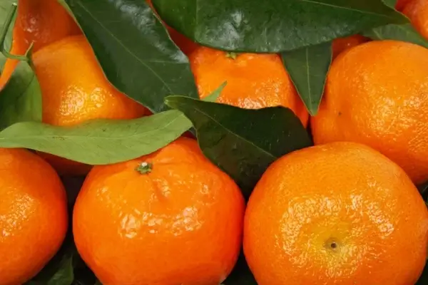 citrus clementine food