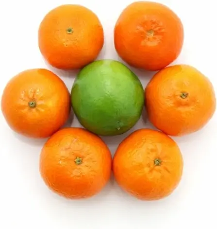 citrus flower