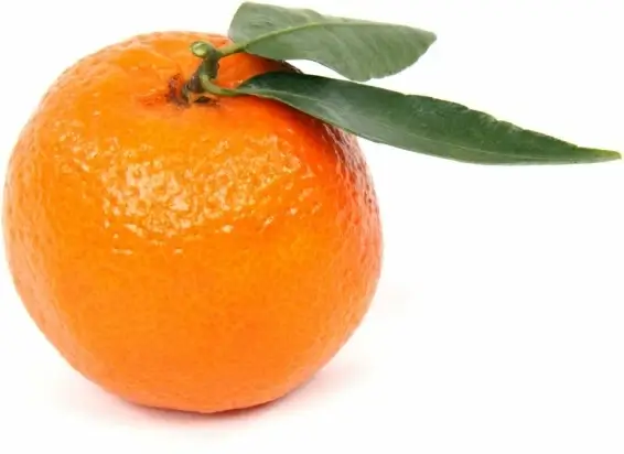 clementine
