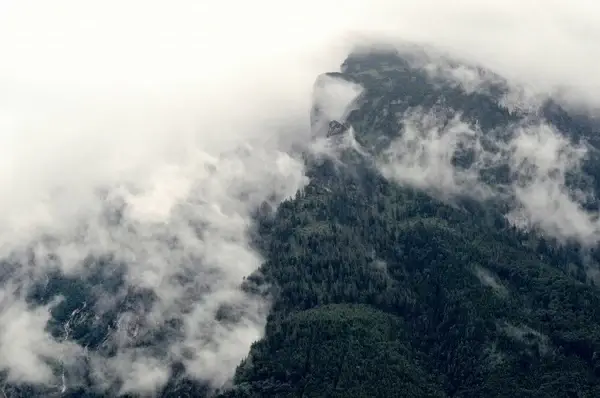 cliff cloud fog forest hill landscape mist mountain