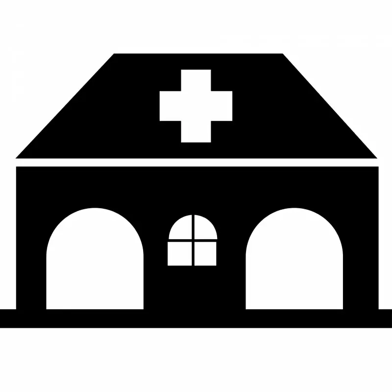 clinic medical sign icon flat black white geometric sketch
