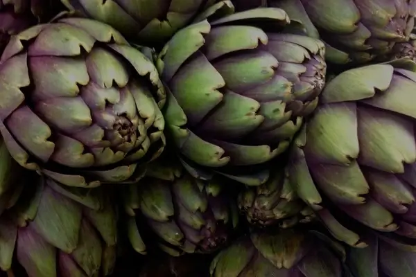 close up of artichoke
