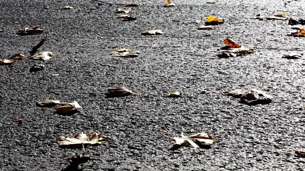 closeup of dried leaves blown on road