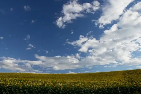 clouds sky field 