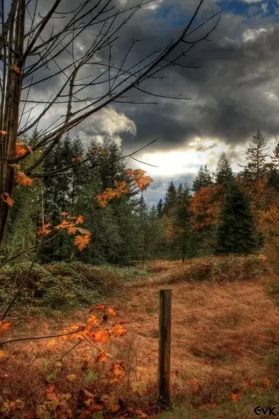 clouds thunderstorm rainy
