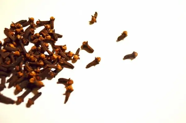 cloves