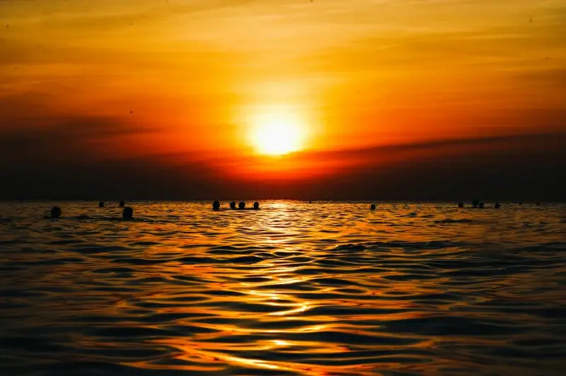 coastal sunset picture dark silhouette 