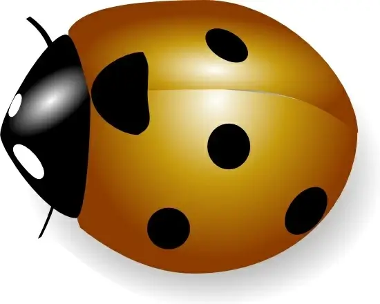 Coccinelle clip art