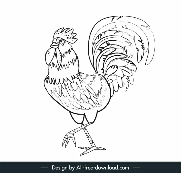 cock painting black white classic handdrawn sketch