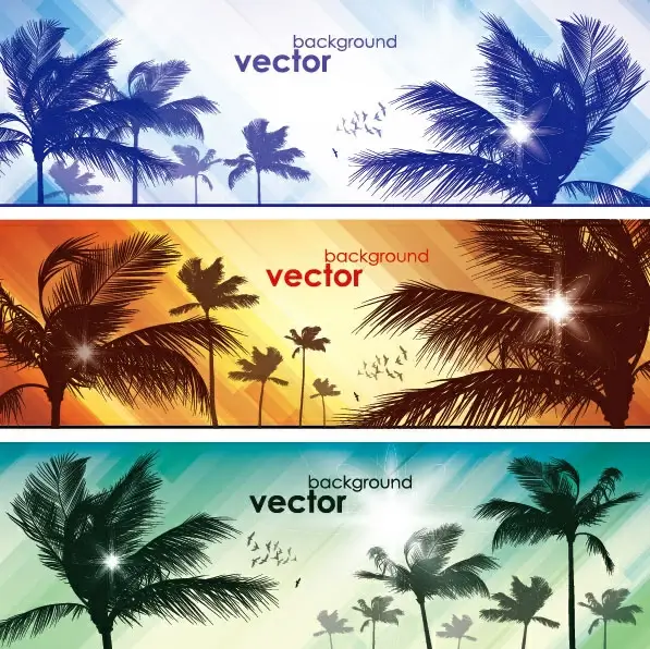 coconut elements banner vector