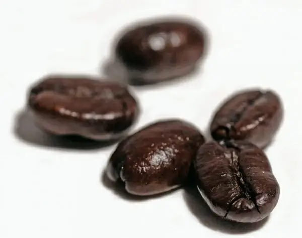coffee beans coffee aroma