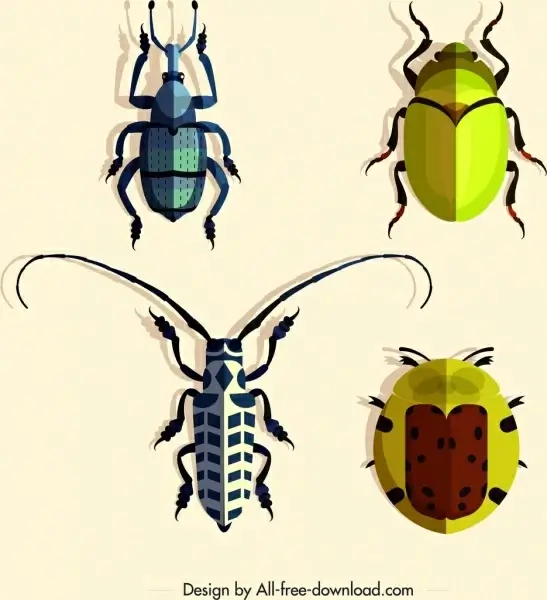 coleopterous insects icons colorful bugs design