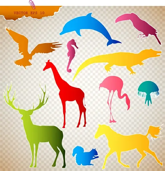 colored animals silhouettes vector illustration