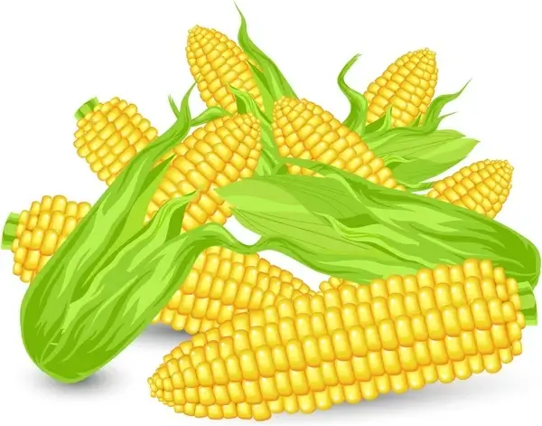 corns icon colored shiny 3d design