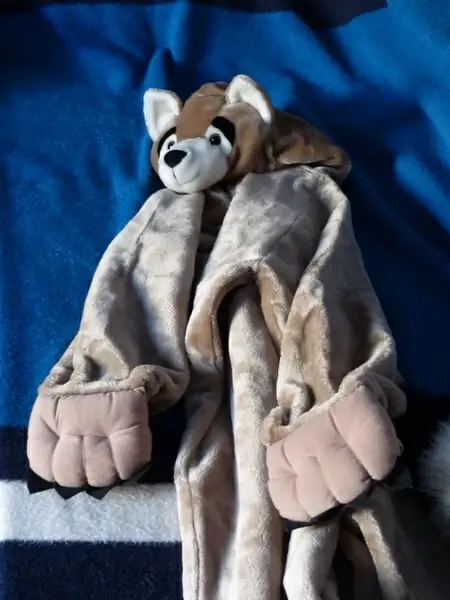 costume carnival dress