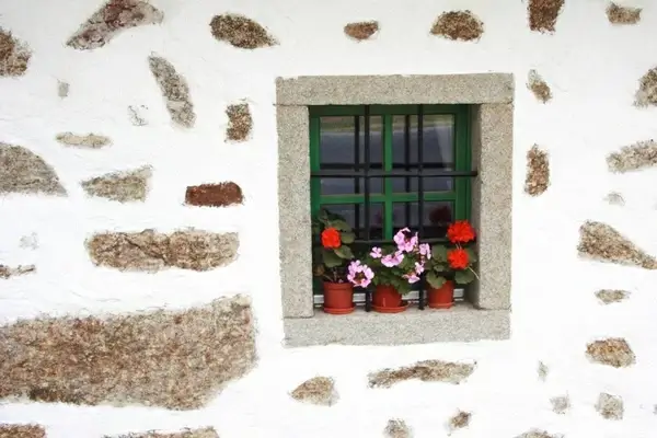 cottage window