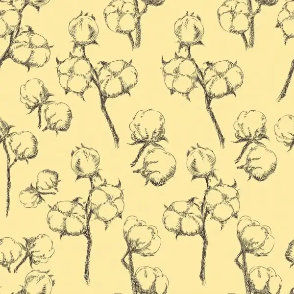 cotton flowers background handdrawn sketch repeating design