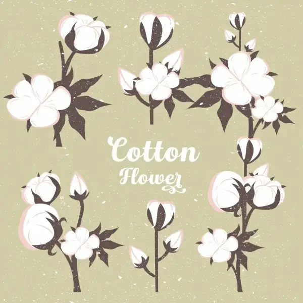 cotton flowers background vintage colored design