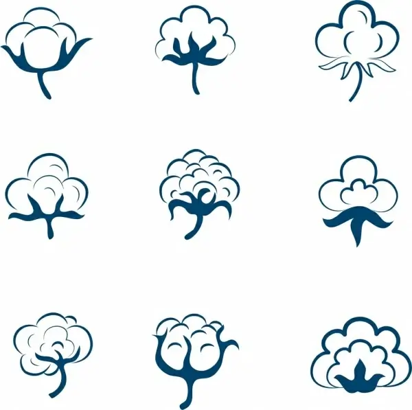 cotton flowers icons collection various shapes sketch