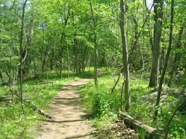 country path