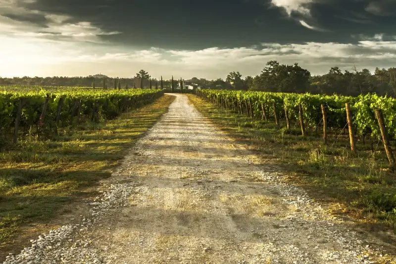 countryside picture empty road field 