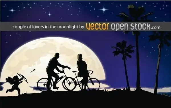 Couple of lovers in the moonlight