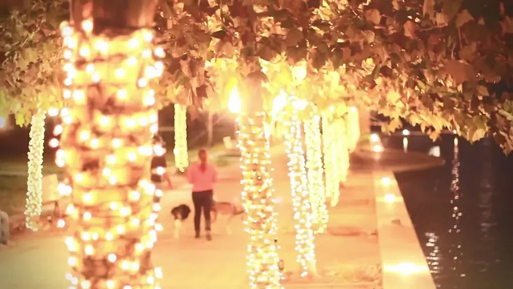 couple walking with pets on sparkling decorated road