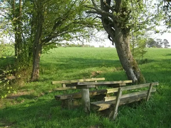 cozy rest nature