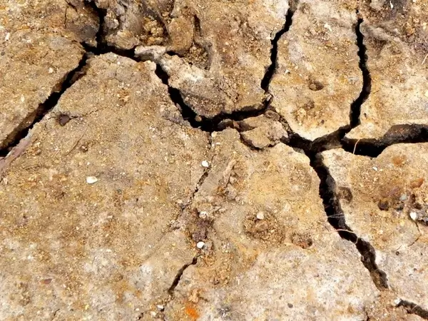 cracked