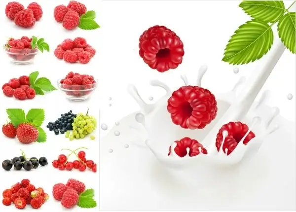 cranberry highdefinition picture 3p