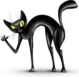 Crazy cat