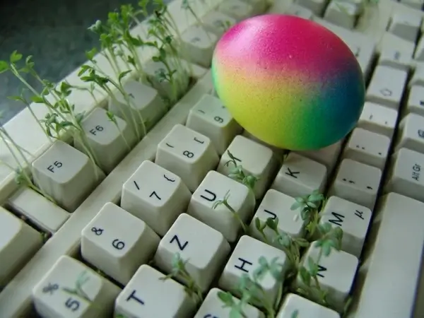 cress spice plant