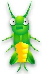 Cricket