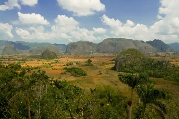 cuban landscape 