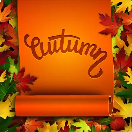 curled paper and autumn leaves background vector