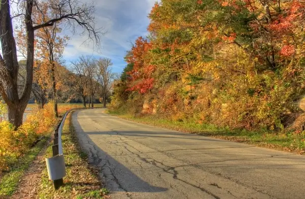 curving roadway at perrot state park wisconsin