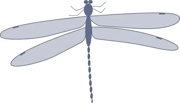 Damselfly clip art