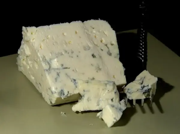danish-blue cheese blue mold mold