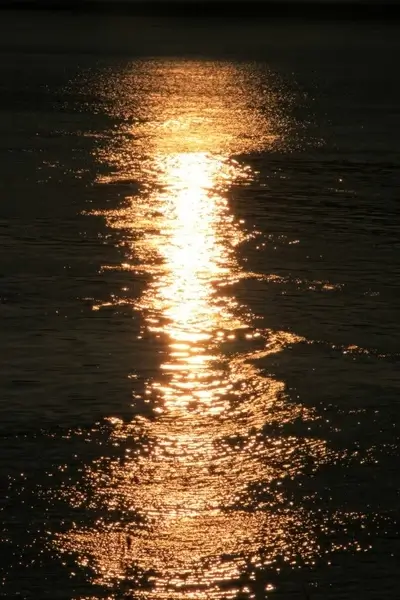 danube reflecting reflection