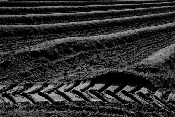darmstadt field
