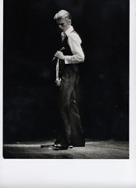 david bowie