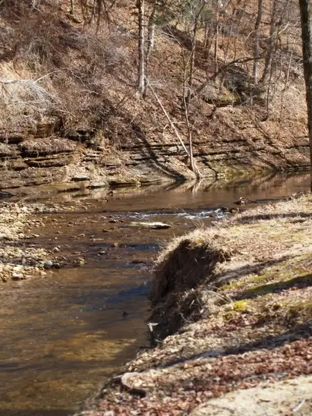 david crockett state park